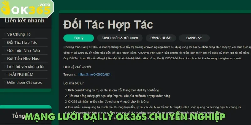 Trang chủ 30 Đại lý góp phần củng cố niềm tin nơi người dùng với thương hiệu OK365