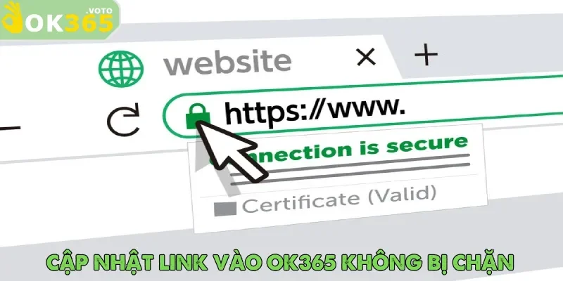 Trang chủ 25 Link vào OK365 mới nhất dành cho tân binh cá cược trong năm 2025